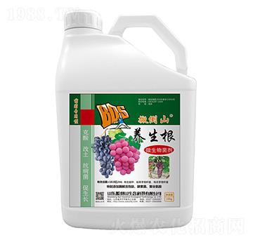 10kg΢�������-�B(y��ng)����-�ᵹɽ