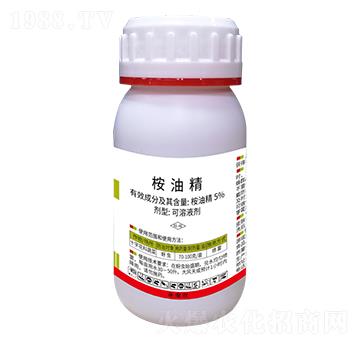 5%���;�-�f��-����