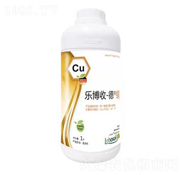 ��(l��)����-���~-����