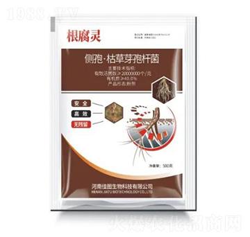 ���ߡ��ݲ�ѿ�ߗU��-�����`-�ÌW��