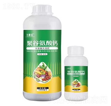 �۹Ȱ����} �f���� ��ķ�_(d��)