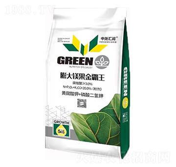 ����V������� �Ј�R��(r��n)