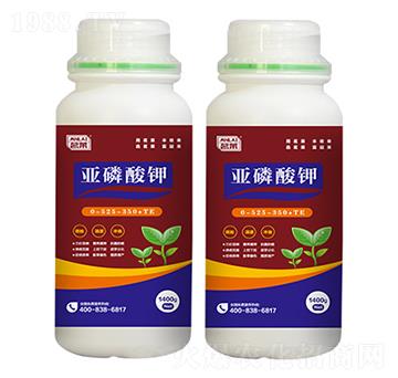 �������-���R����