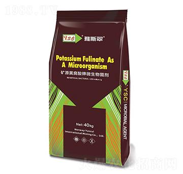 �VԴ�S�����΢�������-��˹��