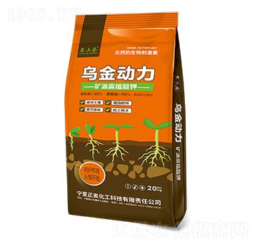 20kg��������-���W����