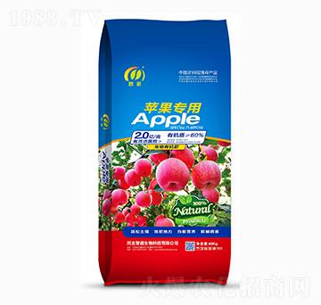 �O�����������ЙC(j��)��-�ǵ�