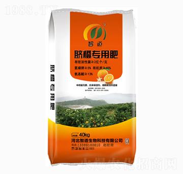 Ě�Ȍ��÷�-�ǵ�