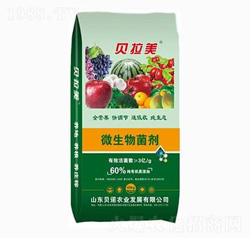 ΢�������-ؐ����-ؐ�Z