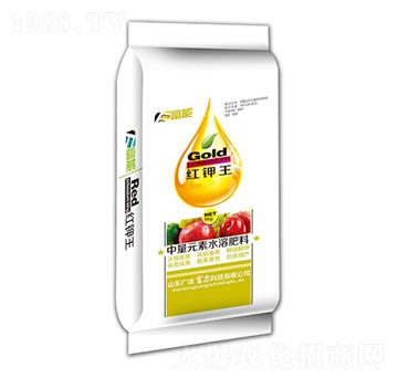 �t���-����-�����Ƽ�