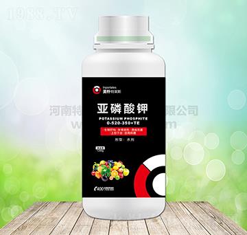 �������-Ӣ�����R˹