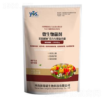 ���܌��ÏͺϾ�-��������-������