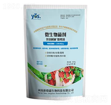 ��ù��-��������-������