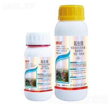 6%���x��-����-��(y��u)���_(d��)