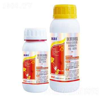 43%(li��n)������-ʩ�M��-��(y��u)���_