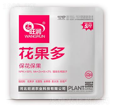 ��������-������-����