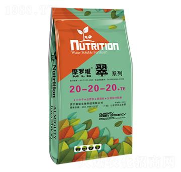 ����Ԫ��ˮ�ܷ���20-20-20+TE-Ħ�_����-���A����