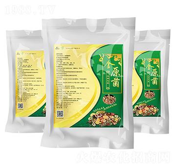 ����x(ch��ng)����-�G������