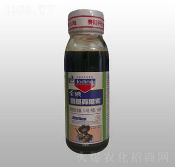 ����������-���-ِ�����