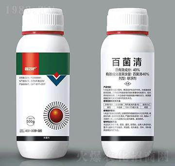 40%�پ���-�ΰ��o