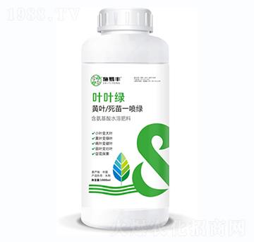 �S�~����һ���G-�~�~�G-ʩ���S