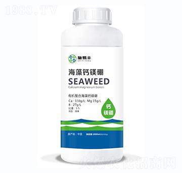 �����}�V��-ʩ���S