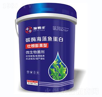 �Ѹ������-̼ø�����~����-ʩ���S