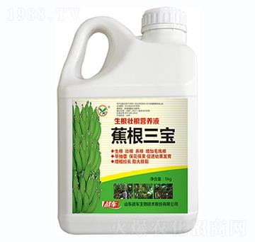 ��������-��(zh��n)܇