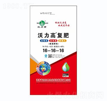 �������16-16-16-�����ߏ�(f��)��-������