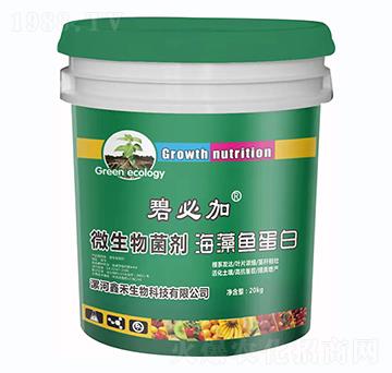 ΢������������~����-�̱ؼ�-�κ�����