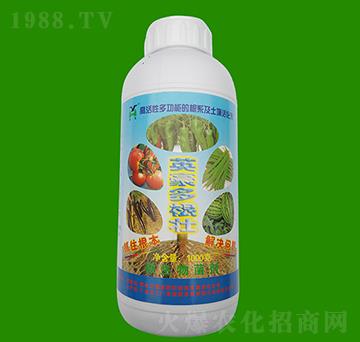 1kg�����-Ӣ��