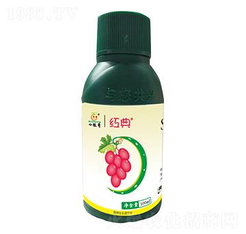 10%S-�T����-�t��-�������