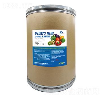 5-������������-�����III��-������