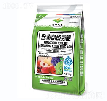 ���S���ᵪ��-�º���