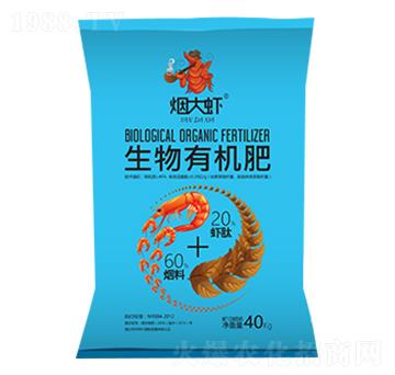 �����r�����ЙC(j��)��-�儓(chu��ng)