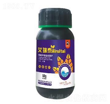 ����ƽ�����L(zh��ng)����-����̩-�r(n��ng)ϲ����