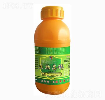 ������}-ɽ���¿�