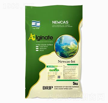 �������(f��)�Ϸ���-�~����