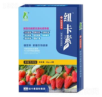 ��ݮ�����Ͷ��ĠI(y��ng)�B(y��ng)Һ-