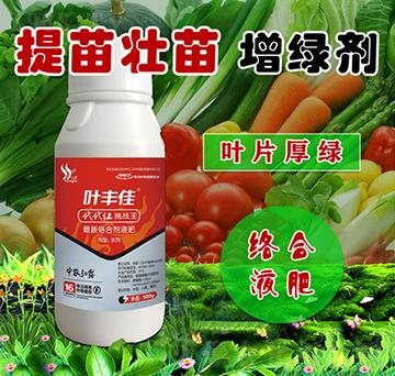 ����������G��-�~�S��-���r(n��ng)��¶