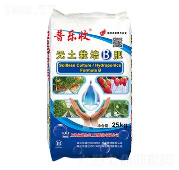 �o(w��)��������(zhu��n)��B��-�՘�(l��)��-��ͨ���B(t��i)