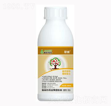 �Ǵ��������}�V�F-��Z-������