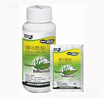 24%��߻����-��������ϲ-������