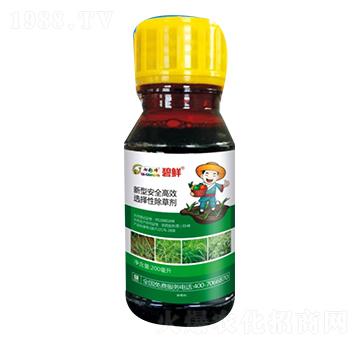 ���r��ѿ����]���݄���-������r(n��ng)