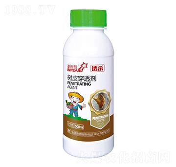 ͸����(sh��)Ƥ��͸��-������r(n��ng)