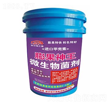 �M�ڼך����������-(li��n)�r(n��ng)���S��