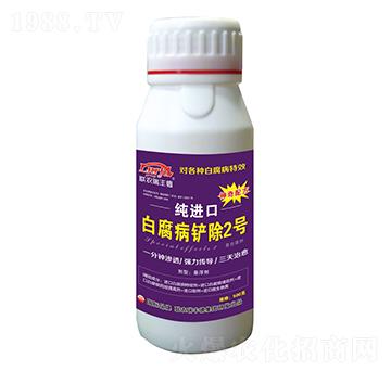 ΢�����-���M(j��n)�ڰ׸����P��2̖-���S��