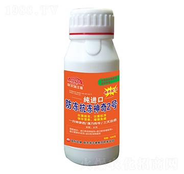 ΢�����-���M(j��n)�ڷ�����������2̖(h��o)-���S��