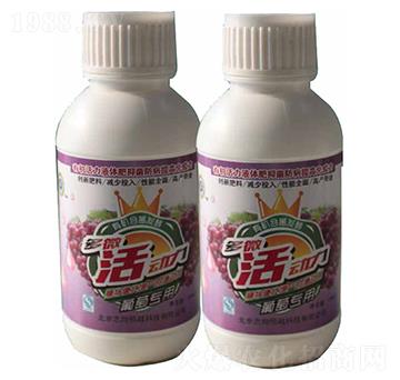 ���ь���-־���Խ