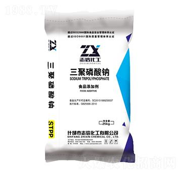 ���������cSTPP-��(chu��ng)���S