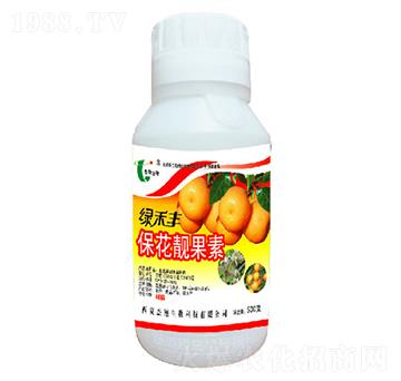 �����n����-�G���S-��������